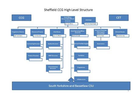 Sheffield CCG High Level Structure