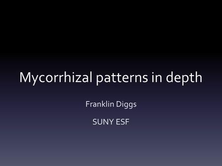 Mycorrhizal patterns in depth