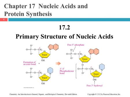 Chemistry: An Introduction to General, Organic, and Biological Chemistry, Eleventh Edition Copyright © 2012 by Pearson Education, Inc. Chapter 17 Nucleic.