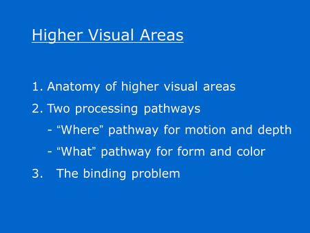 Higher Visual Areas Anatomy of higher visual areas