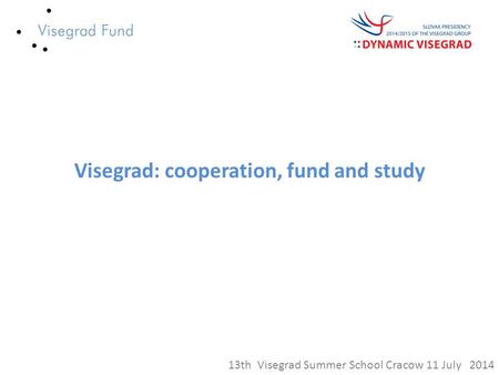 Visegrad: cooperation, fund and study 13th Visegrad Summer School Cracow 11 July 2014.