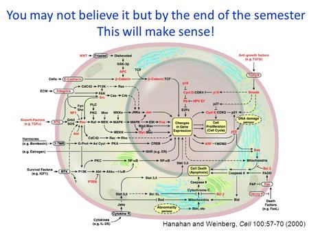 You may not believe it but by the end of the semester This will make sense! Hanahan and Weinberg, Cell 100:57-70 (2000)