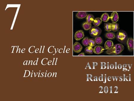 The Cell Cycle and Cell Division