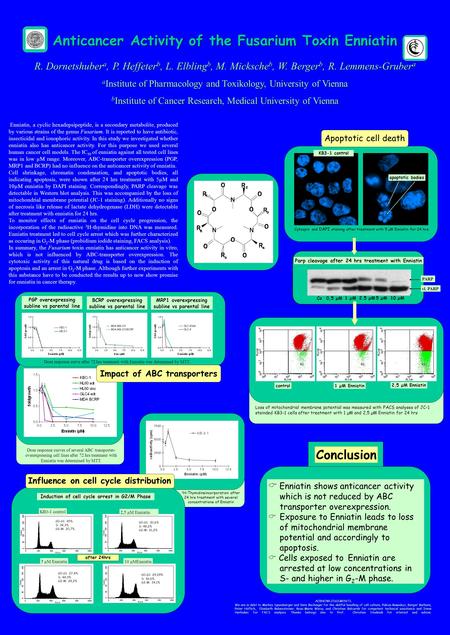 3 H-Thymidineincorporation after 24 hrs treatment with severel concentrations of Enniatin Anticancer Activity of the Fusarium Toxin Enniatin Enniatin,