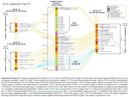 44 D (3 Khipu elements) 14 12 Phaseolus vulgaris B4 locus 410 Kb contig 158 kb Sub- cluster C 400 Kb 300 Kb 250 Kb 200 Kb 150 Kb 100 Kb 50 Kb 28 21 15.