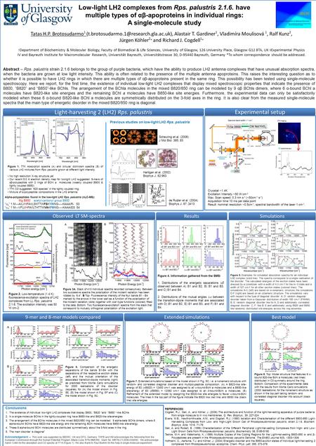 Cryostat ~1.4K Excitation Intensity ~50 W cm -2 Max. Scan speed: 0.3 nm s -1 (~50cm -1 s -1 ) Acquisition time 10 ms per data point Result: nominal resolution.