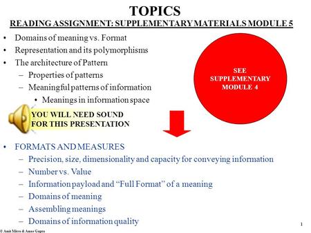 1 © Amit Mitra & Amar Gupta TOPICS READING ASSIGNMENT: SUPPLEMENTARY MATERIALS MODULE 5 Domains of meaning vs. Format Representation and its polymorphisms.