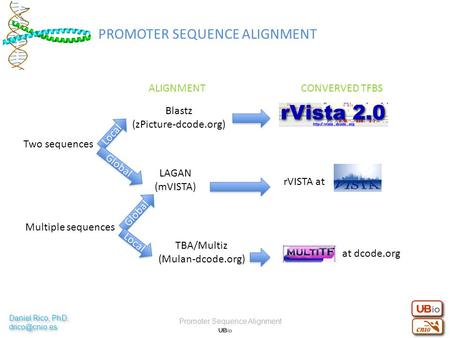 Two sequences Multiple sequences Local Blastz (zPicture-dcode.org) ALIGNMENTCONVERVED TFBS LAGAN (mVISTA) Global TBA/Multiz (Mulan-dcode.org) Local rVISTA.