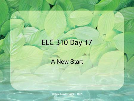 ® Tony Gauvin, UMFK, 2007 ELC 310 Day 17 A New Start.