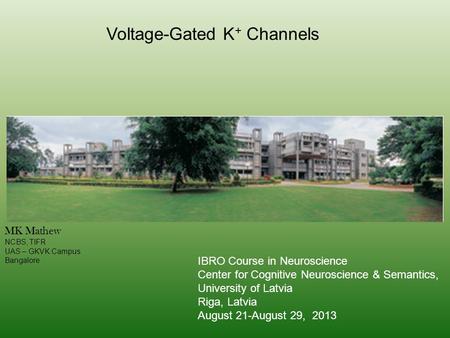 Voltage-Gated K+ Channels