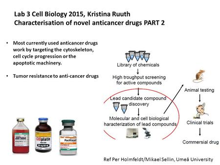 Lab 3 Cell Biology 2015, Kristina Ruuth