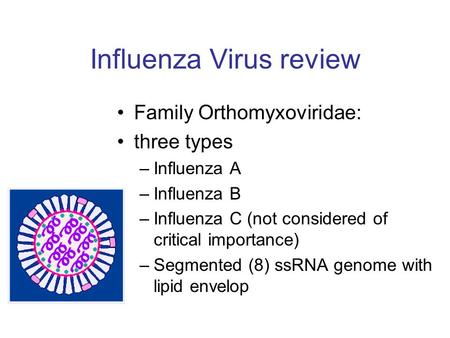 Influenza Virus review