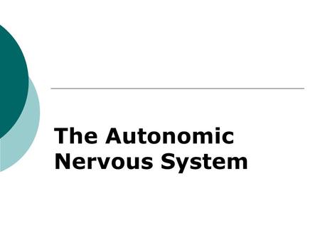 The Autonomic Nervous System