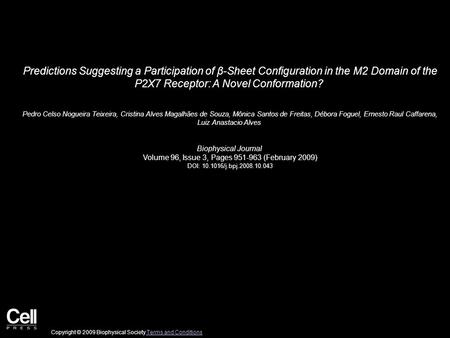 Predictions Suggesting a Participation of β-Sheet Configuration in the M2 Domain of the P2X7 Receptor: A Novel Conformation? Pedro Celso Nogueira Teixeira,