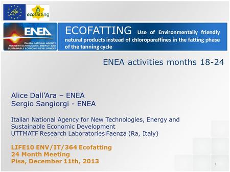 1 ECOFATTING Use of Environmentally friendly natural products instead of chloroparaffines in the fatting phase of the tanning cycle Alice Dall’Ara – ENEA.