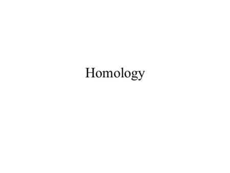 Homology.