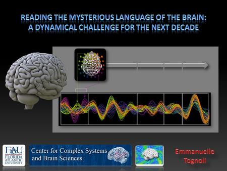 Space x,y Wave amplitude v Time t The land of time (dynamics at 1 space point) x,y,v (for t =t n ) t,v (for x = x l and y = y m ) The land of space.