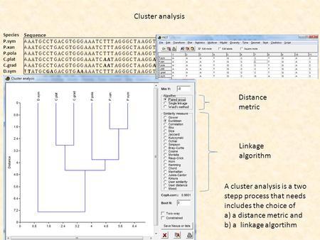 Cluster analysis Species Sequence P.symA AATGCCTGACGTGGGAAATCTTTAGGGCTAAGGTTTTTATTTCGTATGCTATGTAGCTTAAGGGTACTGACGGTAG P.xanA AATGCCTGACGTGGGAAATCTTTAGGGCTAAGGTTAATATTCCGTATGCTATGTAGCTTAAGGGTACTGACGGTAG.