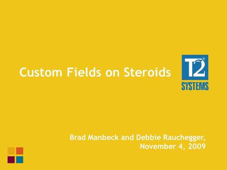 Custom Fields on Steroids Brad Manbeck and Debbie Rauchegger, November 4, 2009.