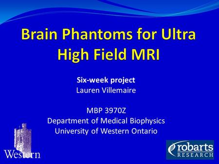 Six-week project Lauren Villemaire MBP 3970Z Department of Medical Biophysics University of Western Ontario.