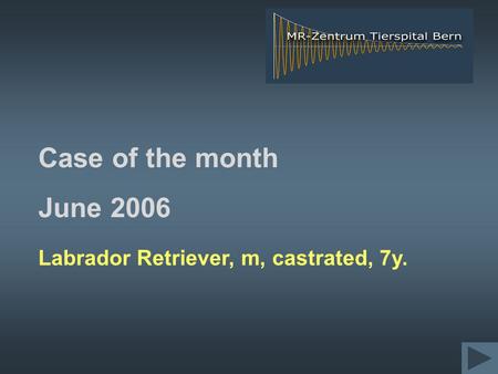 Labrador Retriever, m, castrated, 7y. Case of the month June 2006.