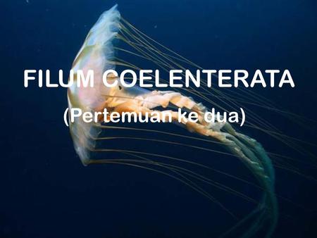 FILUM COELENTERATA (Pertemuan ke dua).