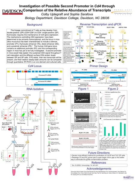 Printed by www.postersession.com Investigation of Possible Second Promoter in Cd4 through Comparison of the Relative Abundance of Transcripts Colby Uptegraft.