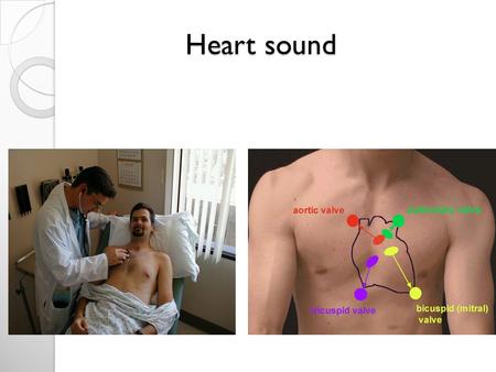 Heart sound.