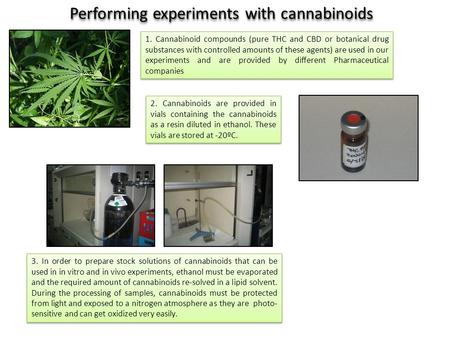 2. Cannabinoids are provided in vials containing the cannabinoids as a resin diluted in ethanol. These vials are stored at -20ºC. 3. In order to prepare.