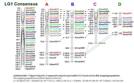 61.7 A B C D LG1 Consensus Xipes0017 0.0 Xipes0042 8.7 Xipes0098 16.7 Xpsmp2273 17.4 Xipes0203 20.3 Xipes0079 21.5 Xipes0197 22.5 Xipes0146 26.4 Xipes0226.