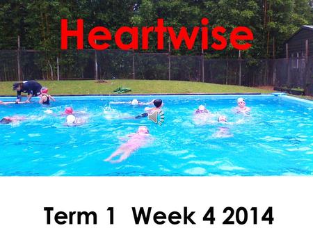 Heartwise Term 1 Week 4 2014. Honesty Amani Androos Luke Boobyer Zedekiah Hapeta-Kemp Harriett Bliss.