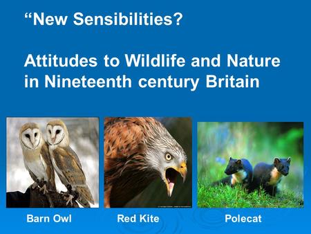 “New Sensibilities? Attitudes to Wildlife and Nature in Nineteenth century Britain PolecatRed KiteBarn Owl.