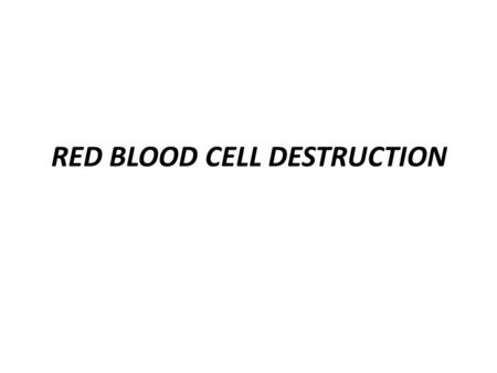 RED BLOOD CELL DESTRUCTION. A, 1,3,5,8 ALA, protoporphinogen, mito Oroporphinogen, coproporphinogen cytoplasm׀׀׀ Mitoch anemia.