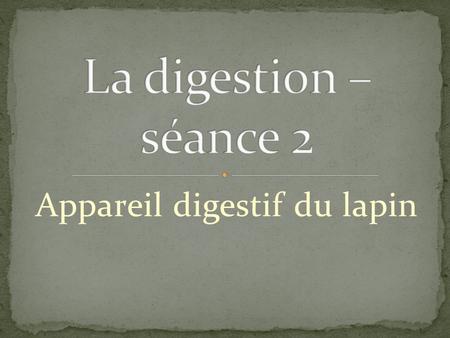 Appareil digestif du lapin. Intestin grêle Caecum Appendice Foie Estomac Œsophage Anus Gros intestin.