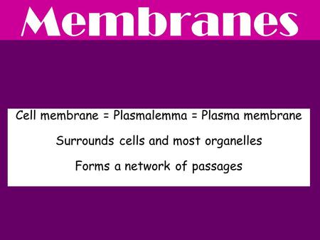 Membranes Cell membrane = Plasmalemma = Plasma membrane Surrounds cells and most organelles Forms a network of passages.