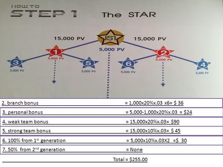 2. branch bonus = 1,000x20%x.03 x6= $ 36 3. personal bonus = 5,000-1,000x20%x.03 = $24 4. weak team bonus = 15,000x20%x.03= $90 5. strong team bonus =