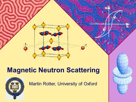 Magnetism in Complex Systems 2009