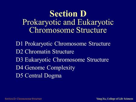 Section D: Chromosome StructureYang Xu, College of Life Sciences Section D Prokaryotic and Eukaryotic Chromosome Structure D1 Prokaryotic Chromosome Structure.