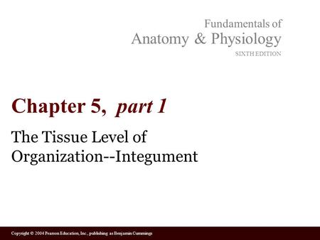 Copyright © 2004 Pearson Education, Inc., publishing as Benjamin Cummings Fundamentals of Anatomy & Physiology SIXTH EDITION Chapter 5, part 1 The Tissue.