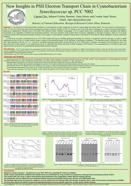 Ciprian Chis, Iuliana-Cristina Simeoni, Oana Sicora and Cosmin Ionel Sicora   New Insights in PSII Electron Transport Chain in.