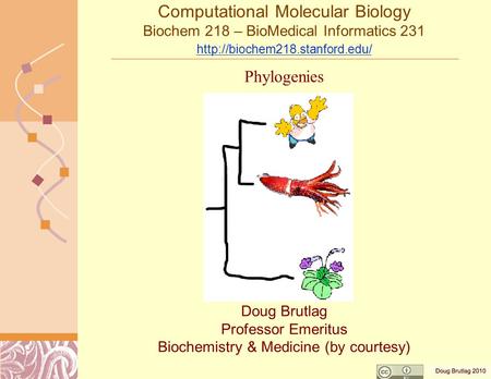 Computational Molecular Biology Biochem 218 – BioMedical Informatics 231   Doug Brutlag Professor.