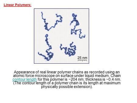 Appearance of real linear polymer chains as recorded using an atomic force microscope on surface under liquid medium. Chain contour length for this polymer.