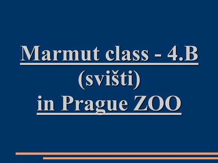 Marmut class - 4.B (svišti) in Prague ZOO. We can speak English! Snažili jsme se komunikovat pouze anglicky Hledali jsme různá zvířata a učili se, jak.