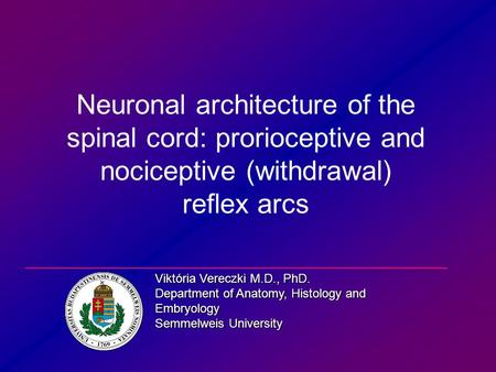 Neuronal architecture of the spinal cord: prorioceptive and nociceptive (withdrawal) reflex arcs Viktória Vereczki M.D., PhD. Department of Anatomy, Histology.