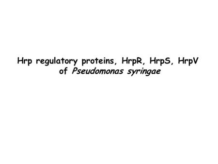 Hrp regulatory proteins, HrpR, HrpS, HrpV of Pseudomonas syringae.