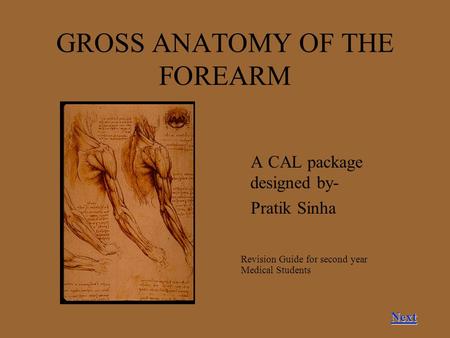 GROSS ANATOMY OF THE FOREARM