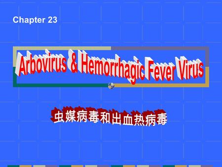 Chapter 23.  Arbovirus of prevalence in China ---classified as Flavivirus ---classified as Flavivirus  Small spherical particle(40-70nm), +ssRNA, icosahedral.