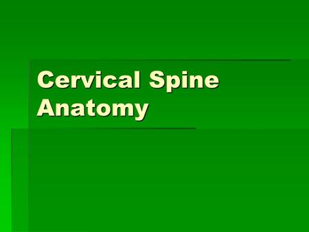 Cervical Spine Anatomy