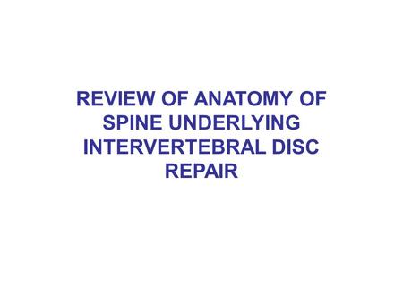 REVIEW OF ANATOMY OF SPINE UNDERLYING INTERVERTEBRAL DISC REPAIR