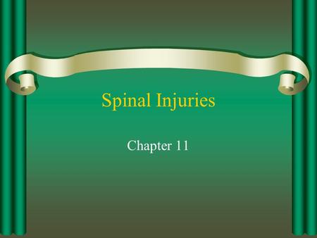 Spinal Injuries Chapter 11.